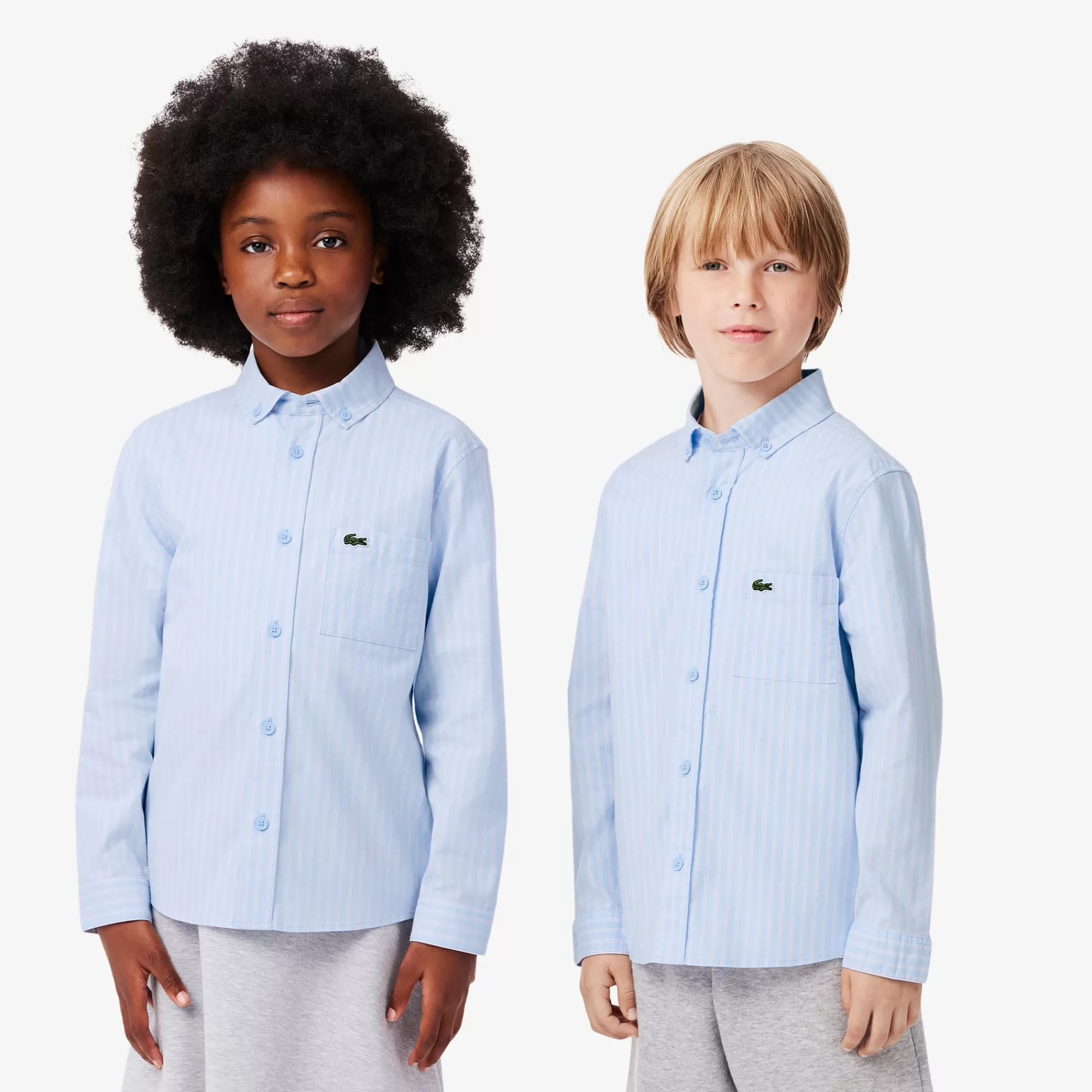 Crianças LACOSTE Moda Menino | Moda Menino^Camisa Oxford às Riscas