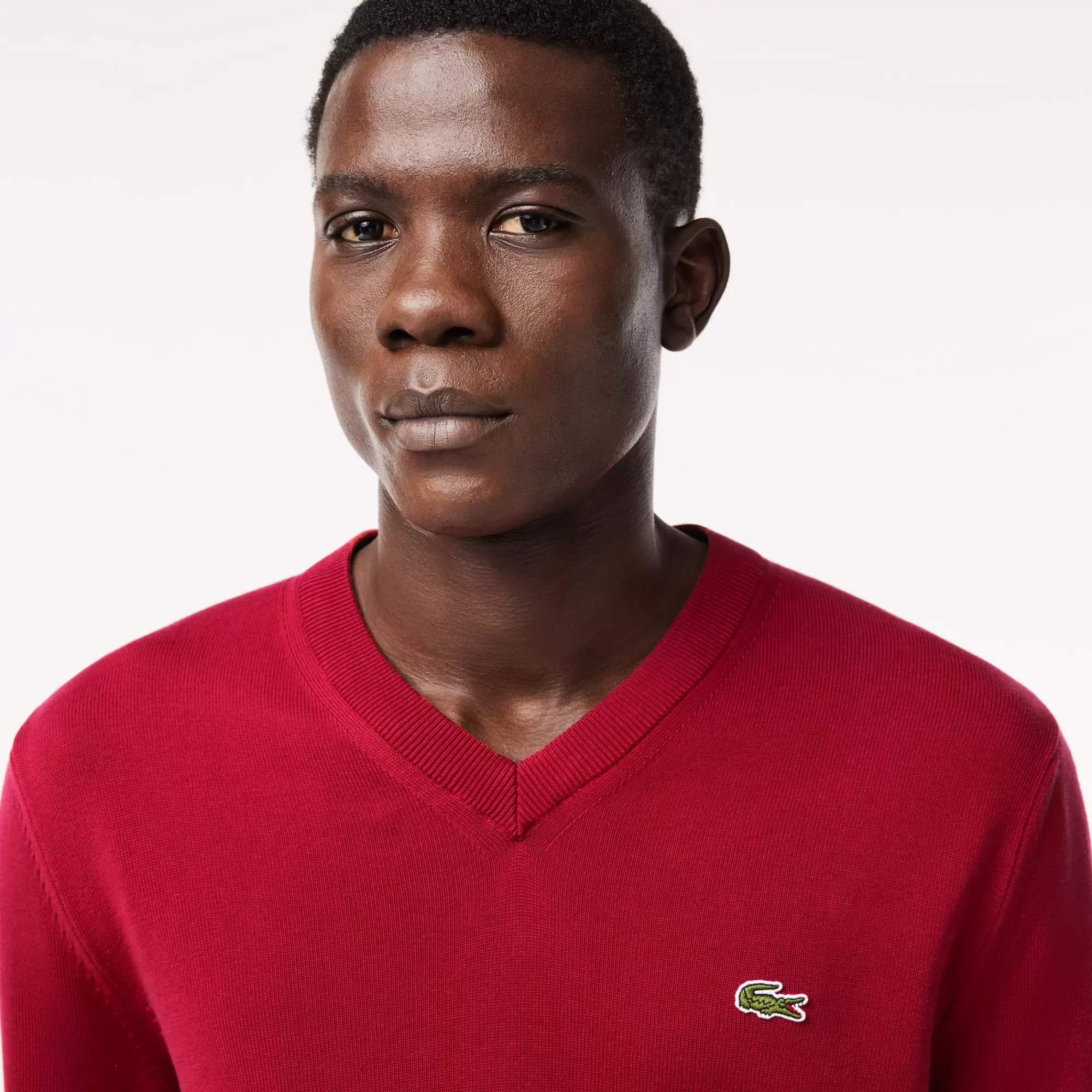 LACOSTE Malhas^Sweater Monocromática de Algodão com Decote em V