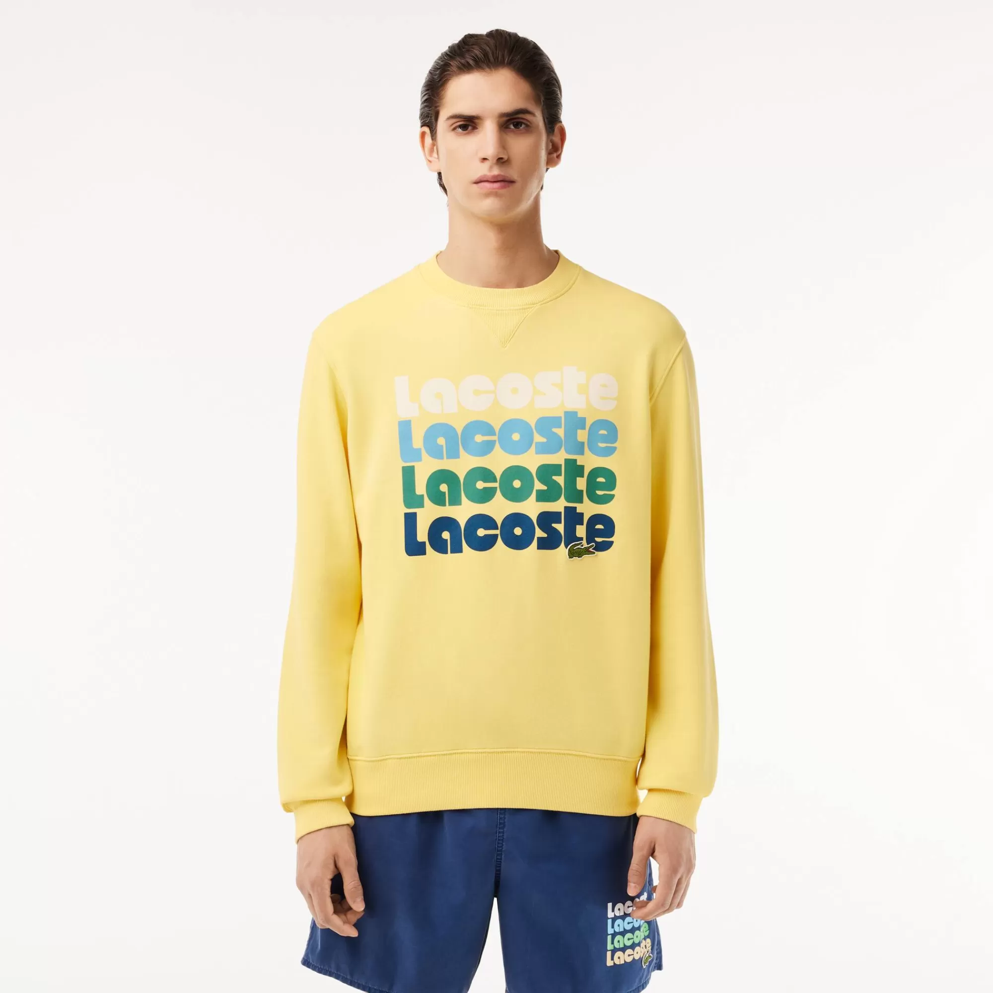 LACOSTE Fatos De Treino | Sweatshirt^Sweatshirt de Felpa com Estampado Ombré