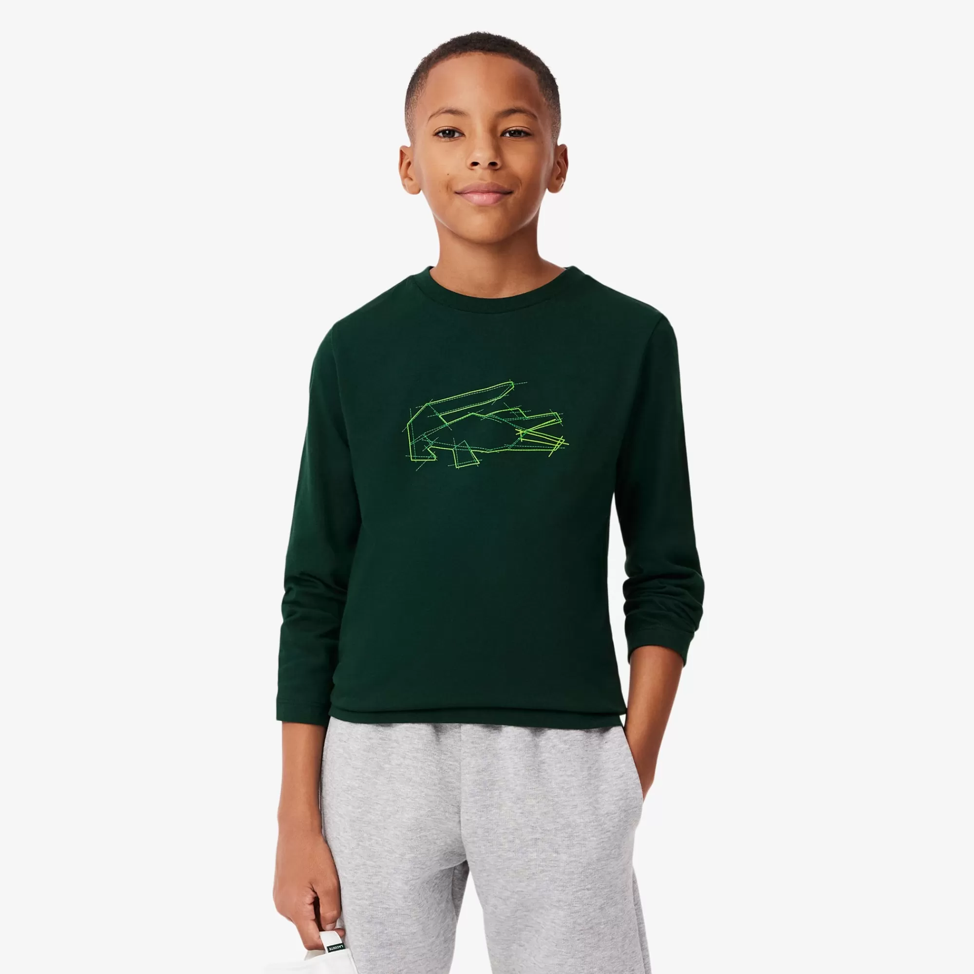 Crianças LACOSTE Moda Menino | Moda Menino^T-shirt de Algodão Grosso com Crocodilo Gráfico