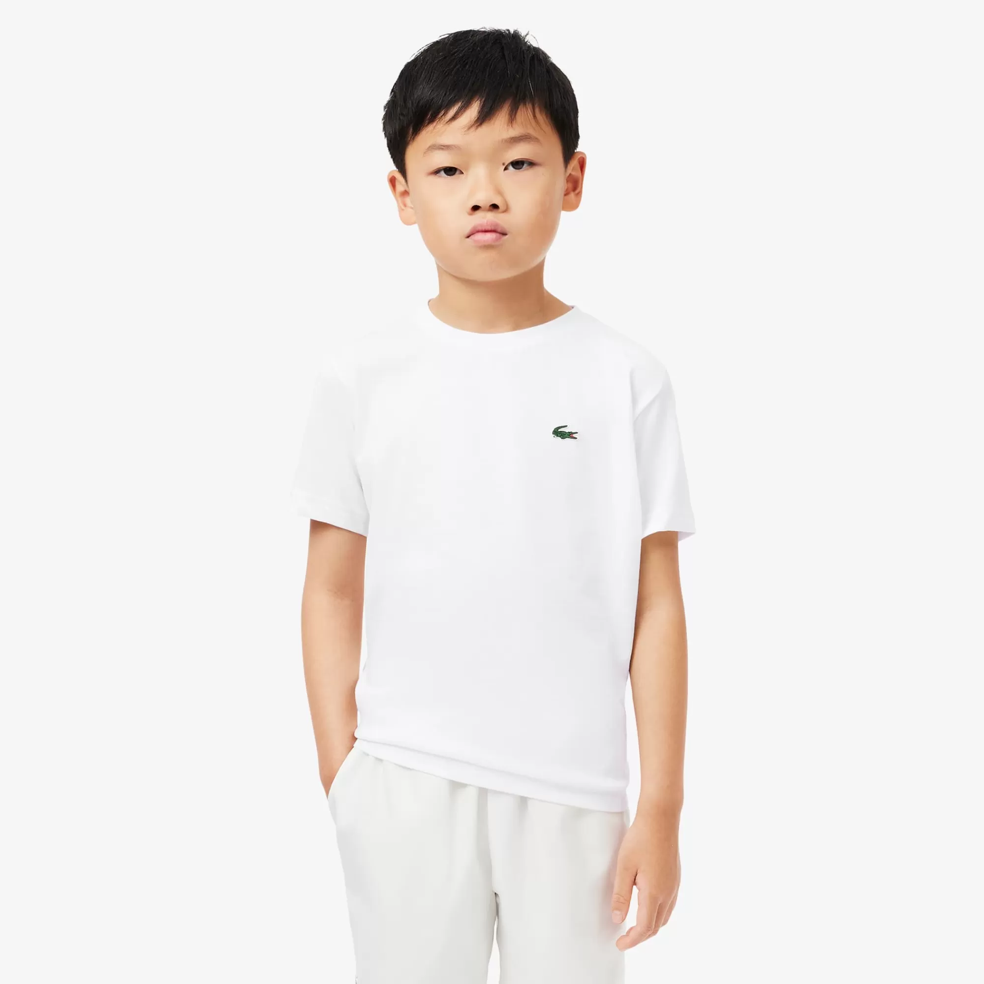 Crianças LACOSTE Moda Menino | Moda Menino^T-shirt Desportiva de Algodão Técnico com Tecnologia Ultra-Dry