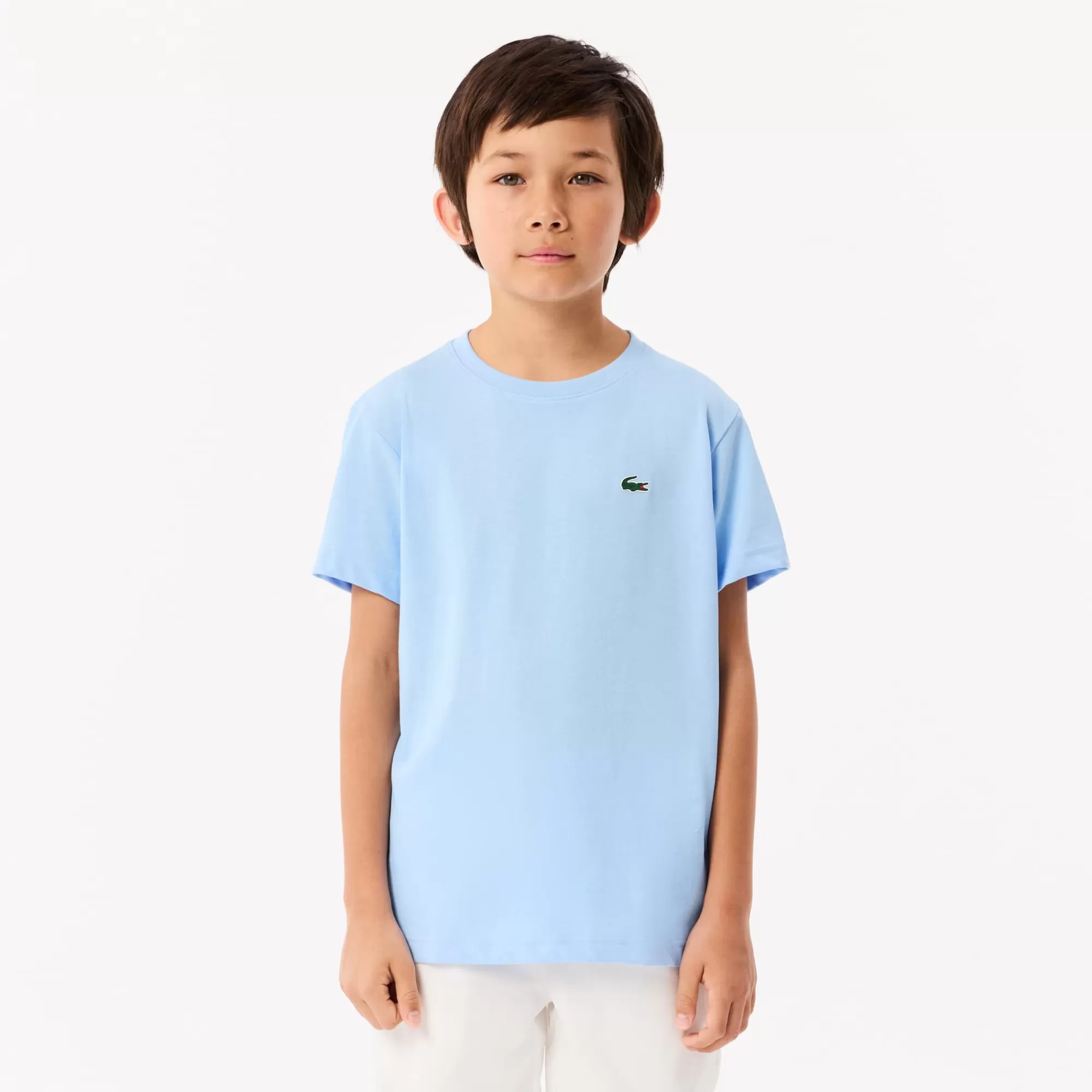 Crianças LACOSTE Moda Menino | Moda Menino^T-shirt Desportiva de Algodão Técnico com Tecnologia Ultra-Dry